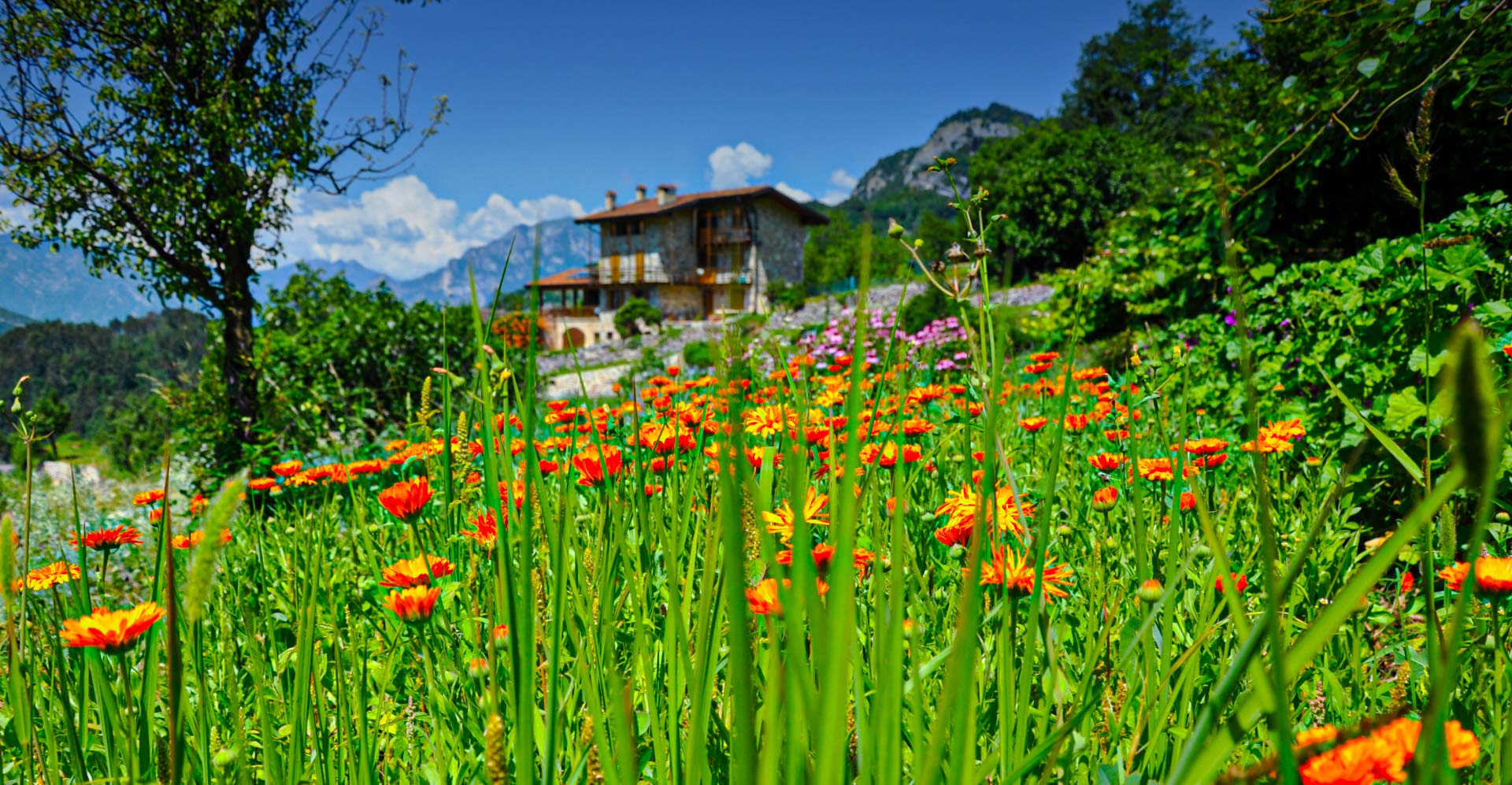 NATURGRESTA Azienda Agricola Biologica