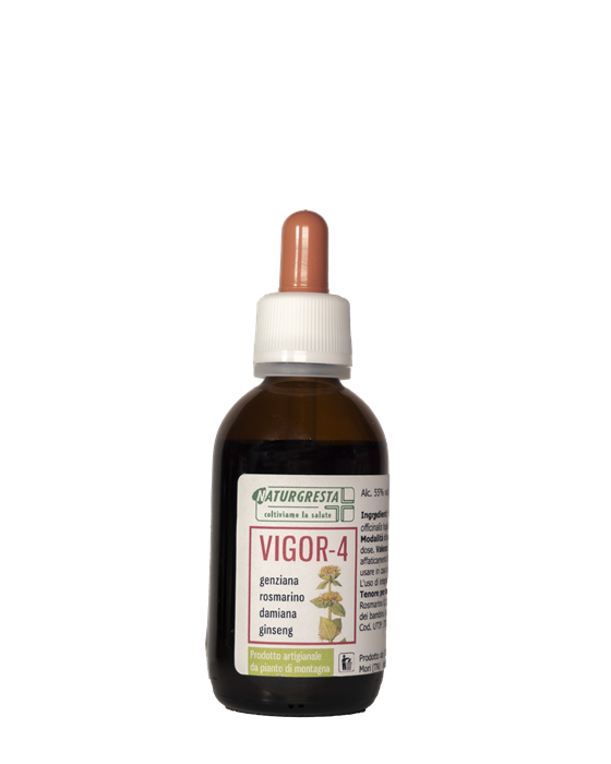 INTEGRATORI - VIGOR-4