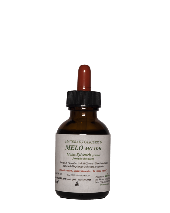 GEMMODERIVATI - MELO MG 1DH