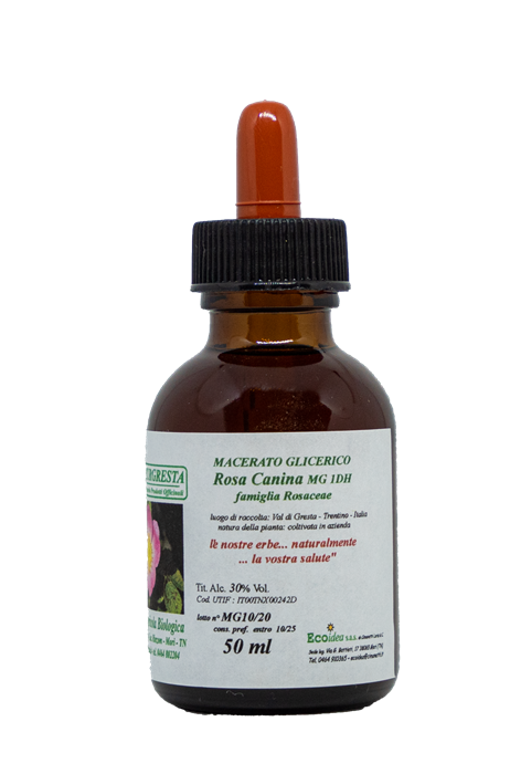 GEMMODERIVATI - ROSA CANINA MG 1DH
