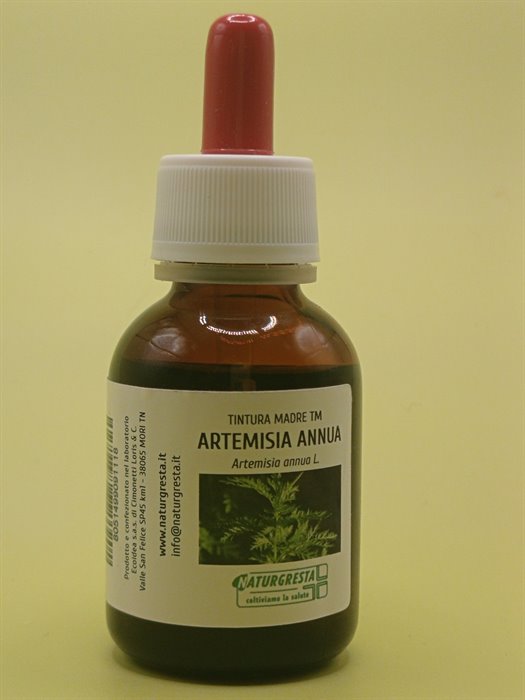 TINTURE MADRI - ARTEMISIA ANNUA TM