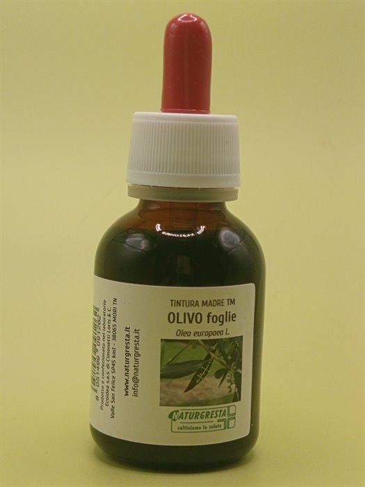 TINTURE MADRI - OLIVO FOGLIE TM