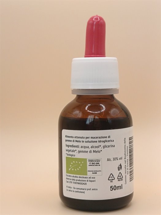 catTmp.Name - MELO MG 1DH