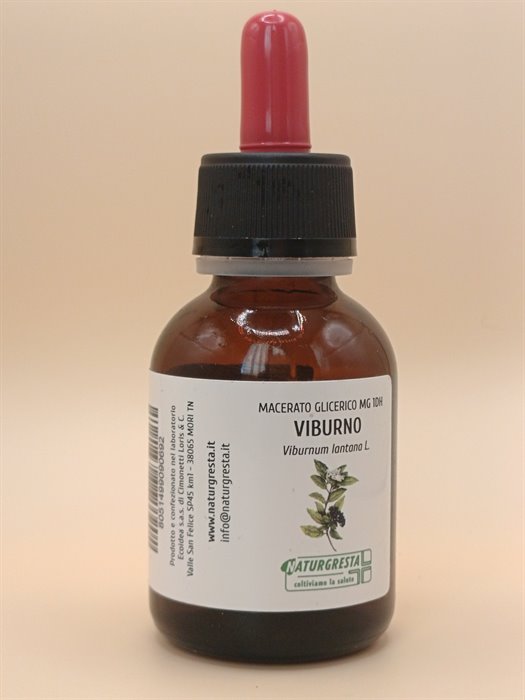 MACERATI GLICERICI - VIBURNO MG 1DH