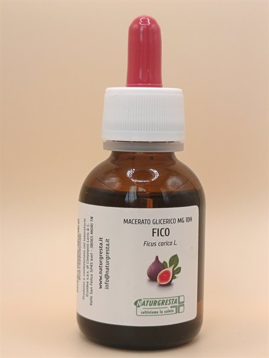 MACERATI GLICERICI - FICO MG 1DH