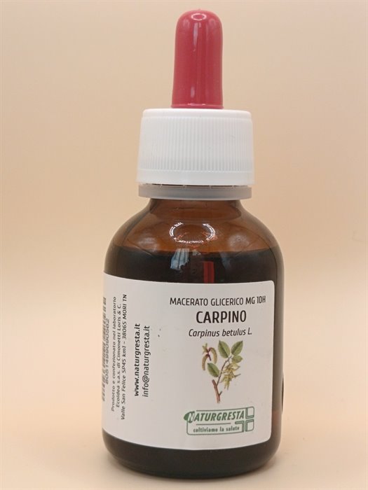 MACERATI GLICERICI - CARPINO MG 1DH