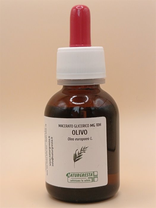 MACERATI GLICERICI - OLIVO MG 1DH