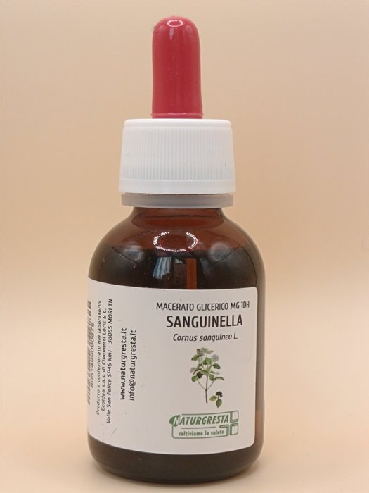 MACERATI GLICERICI - SANGUINELLA MG 1DH