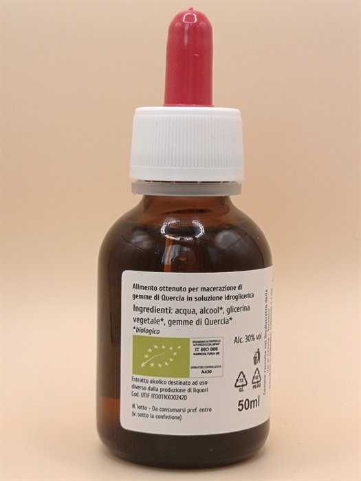 catTmp.Name - QUERCIA MG 1DH