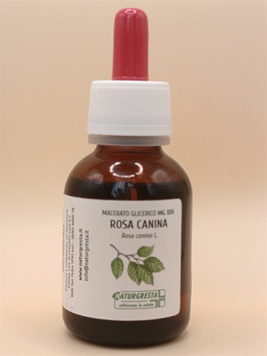 MACERATI GLICERICI - ROSA CANINA MG 1DH