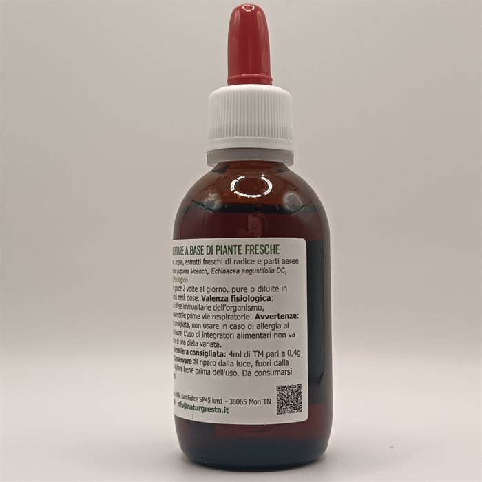 catTmp.Name - ECHINACEE