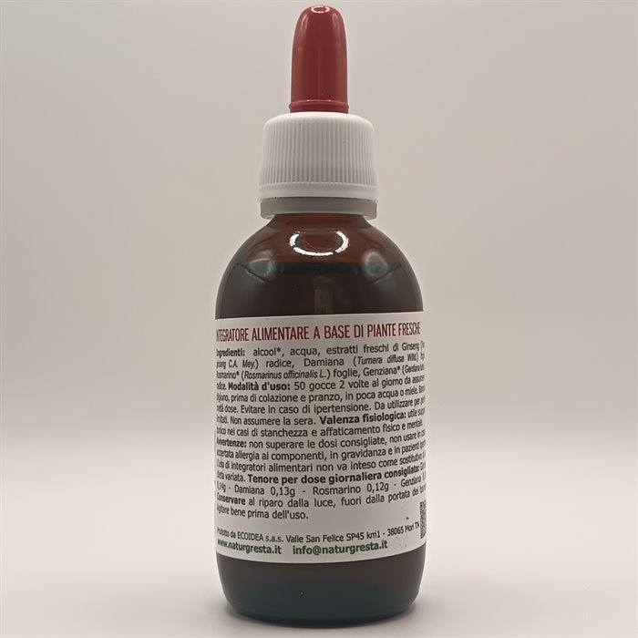 catTmp.Name - VIGOR-4