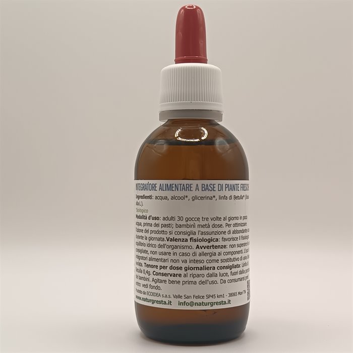 catTmp.Name - LYMPHA-DREN 1DH