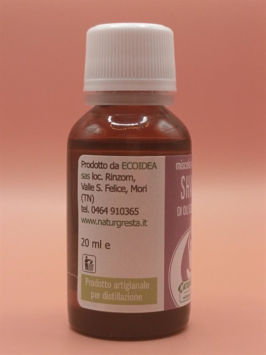 catTmp.Name - SHANTI